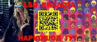 прущие крисы Гатчина