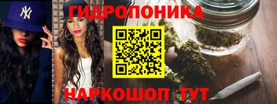 прущие крисы Гатчина
