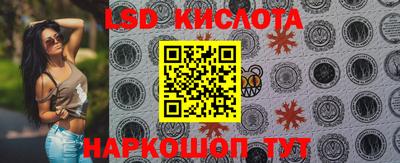 прущие крисы Гатчина