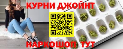 прущие крисы Гатчина
