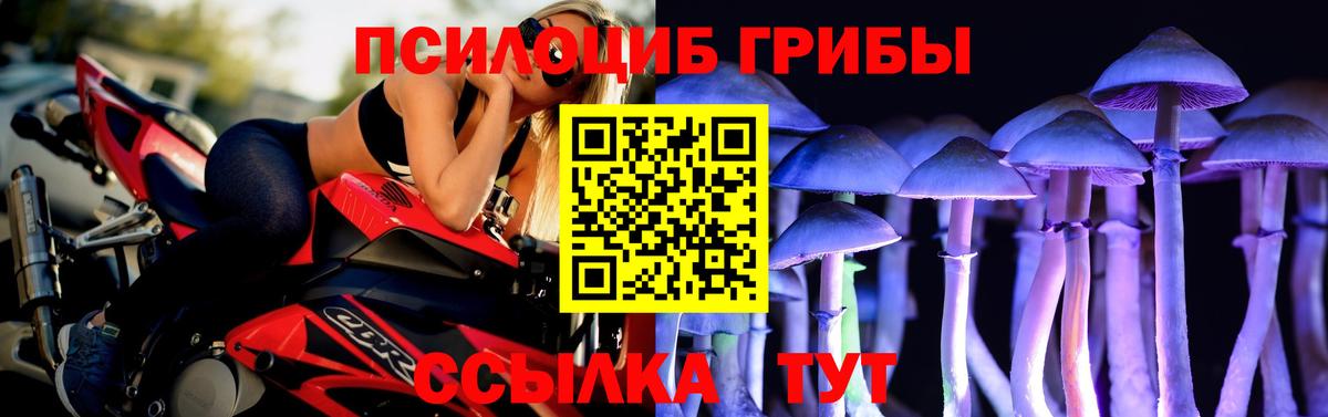 Псилоцибиновые грибы мухоморы  Псилоцибиновые грибы прущие грибы  Строитель  Вход с VPN 